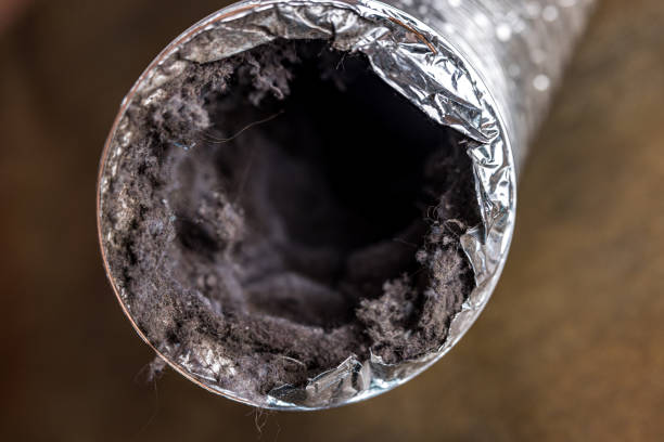 Best Professional Duct Cleaning Services  in Marshallville, GA